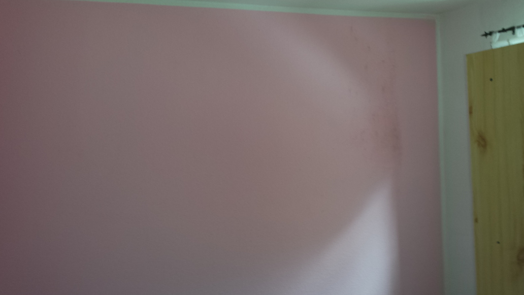 Beseitigung einer feuchten Außenwand in einer Wohnung, Bild 2