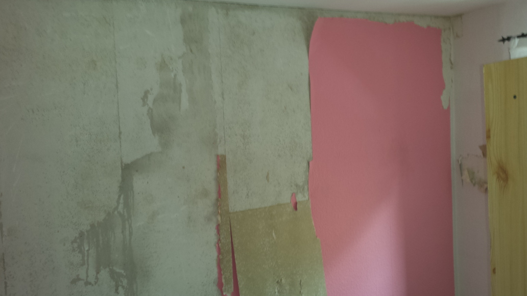 Beseitigung einer feuchten Außenwand in einer Wohnung, Bild 3