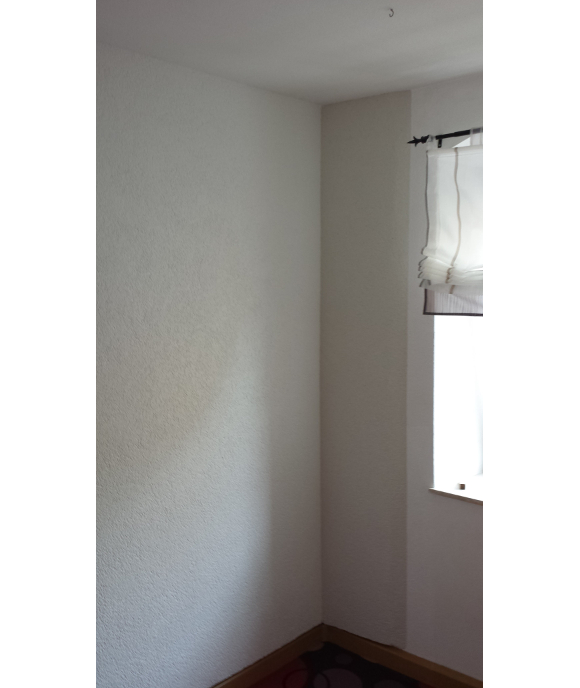 Beseitigung einer feuchten Außenwand in einer Wohnung, Bild 12